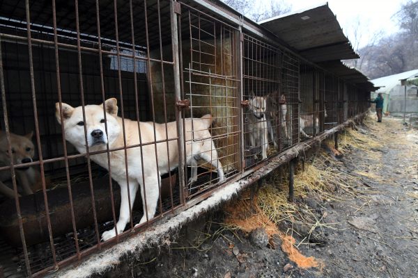 Epoch Times Photo