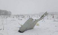 First Video of Moscow Plane Crash Site Emerges Online