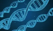 A Mom’s Research (Part 5): A Deep Dive into Evolution