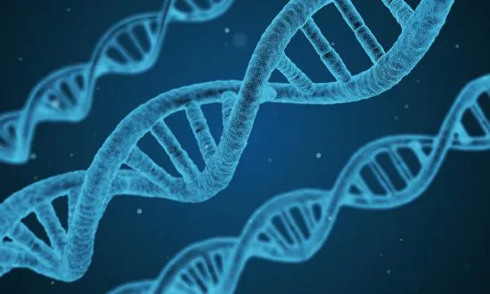 A Mom’s Research (Part 5): A Deep Dive into Evolution