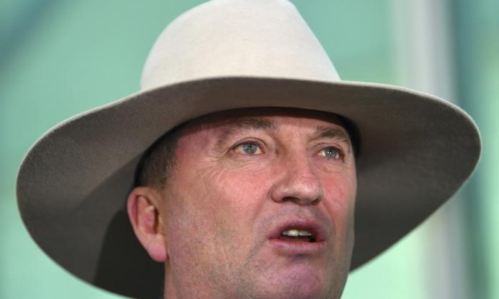 Barnaby Joyce, Australia's Deputy Prime Minister and Minister for Agriculture and Water Resources, speaks during a media conference at Parliament House in Canberra, Australia Feb. 16, 2018. (AAP/Lukas Coch/via Reuters)