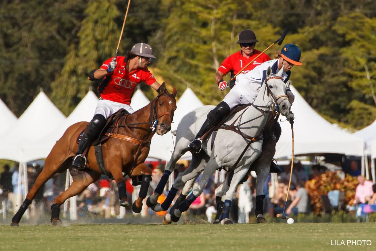 The "sport of kings" draws fans from January through April at Wellington’s International Polo Club.  (Courtesy of Discover the Palm Beaches)