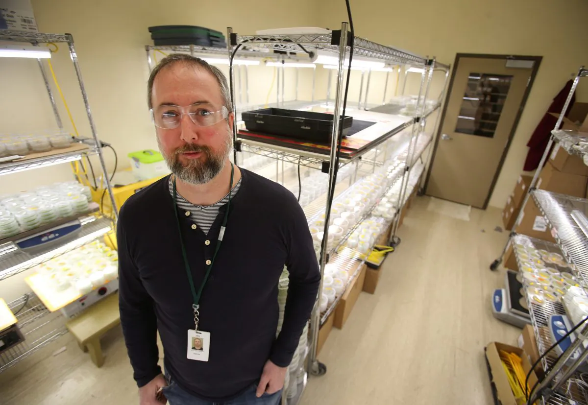 Jed Christianson, a canola plant pathologist working to develop clubroot-resistant canola, at Monsanto Canada's plant breeding centre in Winnipeg on Feb. 12, 2018. (Reuters/Shannon VanRaes)
