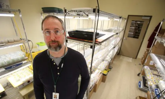 Seed Companies Race to Stop a ‘Cancer’ in Canada’s Most Valuable Crop