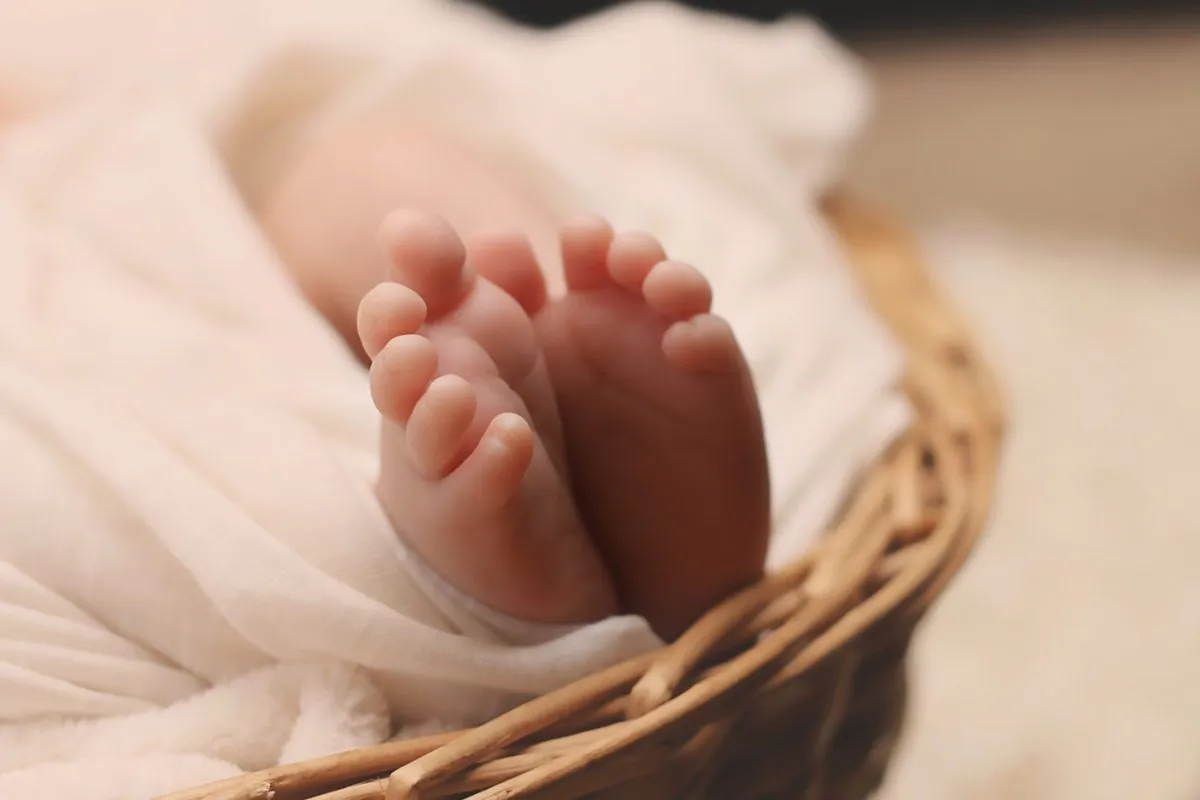 Stock photo of a baby's feet. (Pixabay / CC BY)