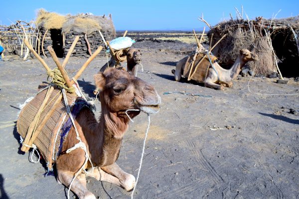 Epoch Times Photo