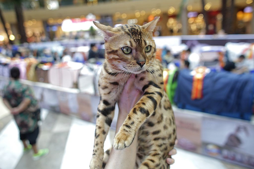 Epoch Times Photo