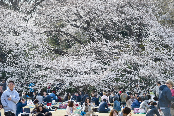 Epoch Times Photo
