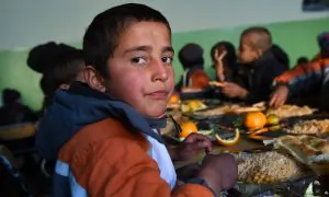 About 866 Million Illnesses Linked to Contaminated Food Annually: WHO