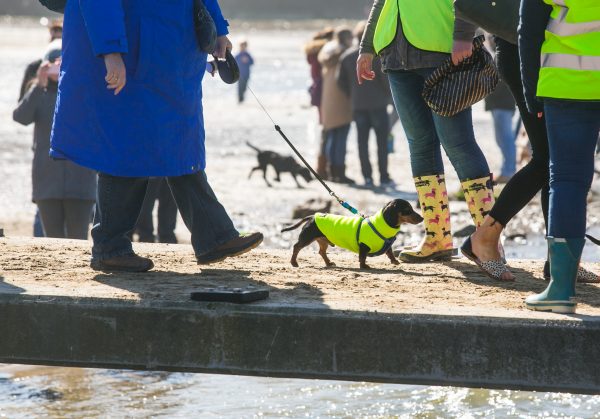 Epoch Times Photo