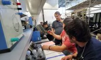 Human Skills, Digital Literacy Critical to Surviving Workforce Automation