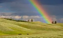 Harness the Potential of Spring for a Healthier You