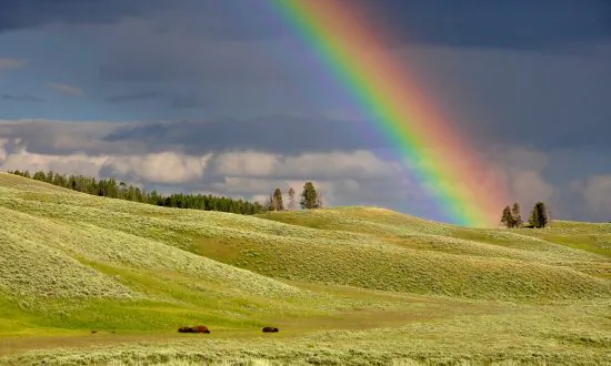 Harness the Potential of Spring for a Healthier You