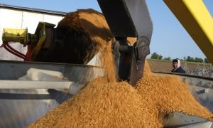 US Farm Deals With South Korea and Japan to Limit China Trade War Retaliation