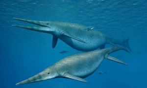 Jaw Fossil From English Beach Belongs to Monstrous Marine Reptile