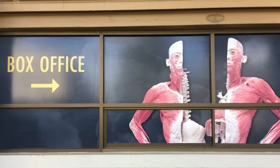 NSW Health May Be Breaking Own Rules by Letting Controversial Exhibition Display Corpses
