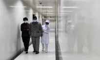 Bird Flu Spreading in Europe and Asia, Humans Found Infected As Well