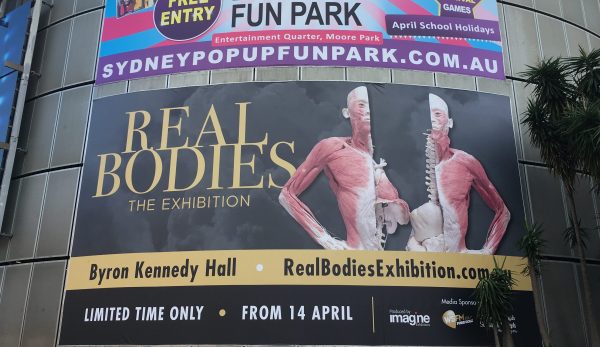 Real Bodies Exhibition Sydney 2018