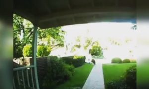 Bear Attacks 5-Year-Old Girl in the Dead of Night