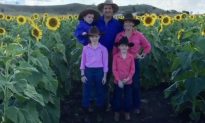 Australian Farmers Grow 42,000 Sunflowers to Raise Awareness for Stillbirth