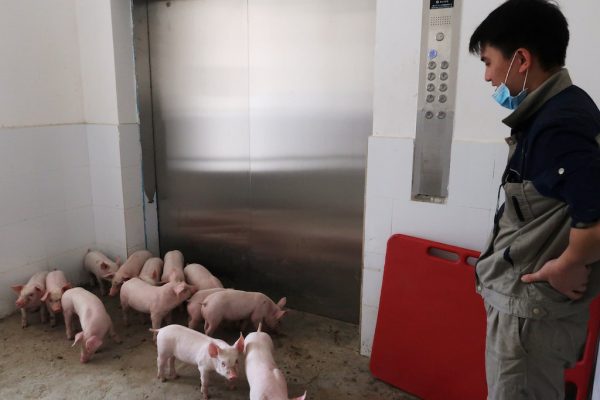 Epoch Times Photo