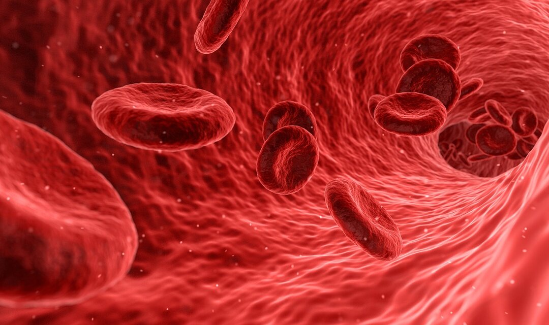 By studying blood under the powerful microscopes, it's often possible to gain insight into the root cause of why a person isn’t healthy.(Pixabay)