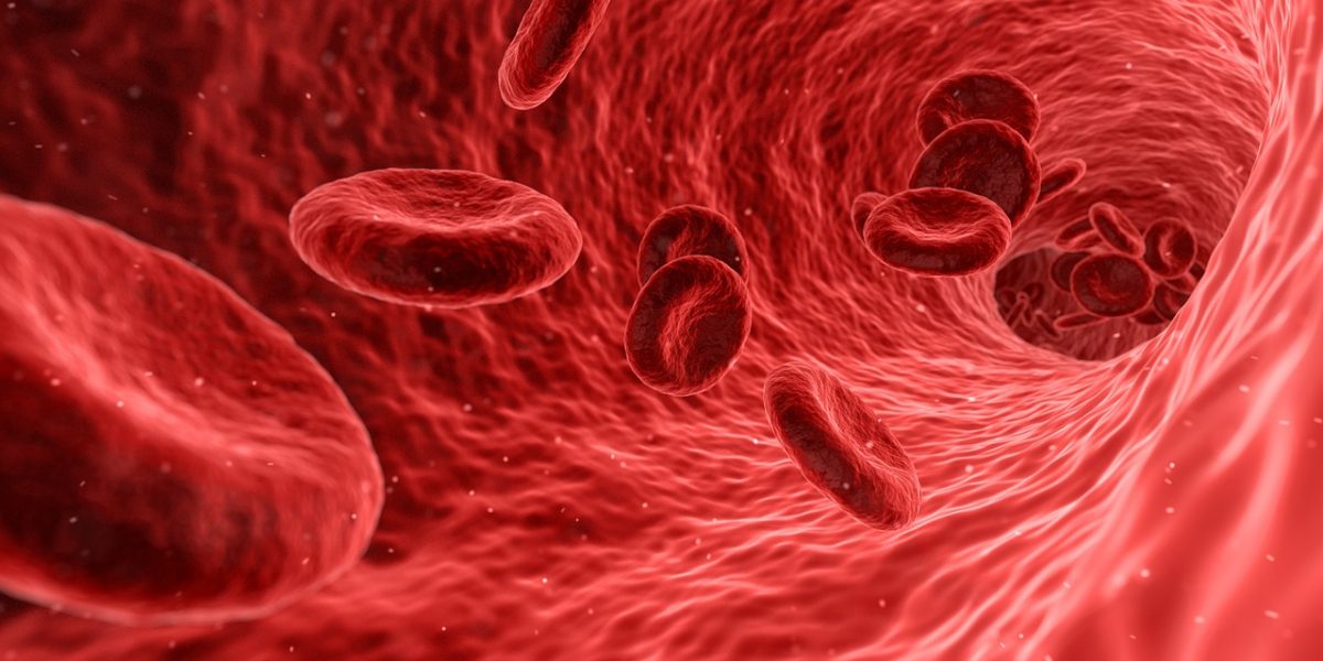 Red blood cells. (Pixabay)