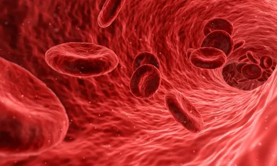 The Basic Concept of Blood in TCM