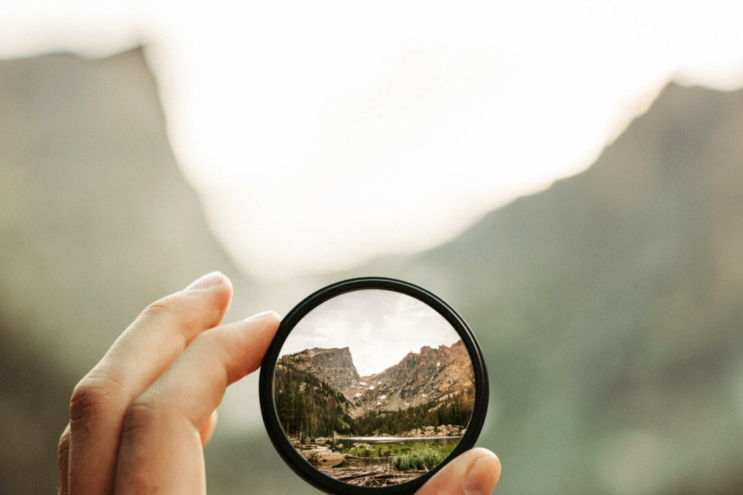 An elegant verse. A disciplined life also. Beauty through constraint. (Aman Patel1/Shutterstock)
