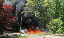 WWII-era Stunt Plane Crashes on Long Island