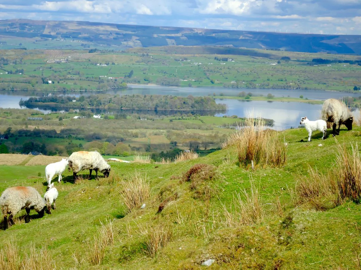 Broad Water bay as seen from Carrowkeel. (Susan James)