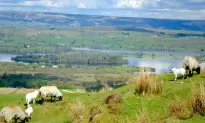 Discovering Donegal’s Wild Atlantic Way