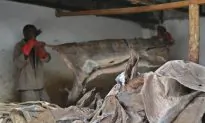 Chinese Demand for Donkey Skin Threatens Kenyan Animal Population