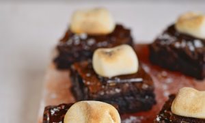 Salt Slab Chocolate Brownie S’mores