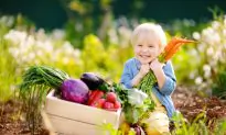 The Difference Between Heirlooms, Hybrids, GMOS, and Gene Editing