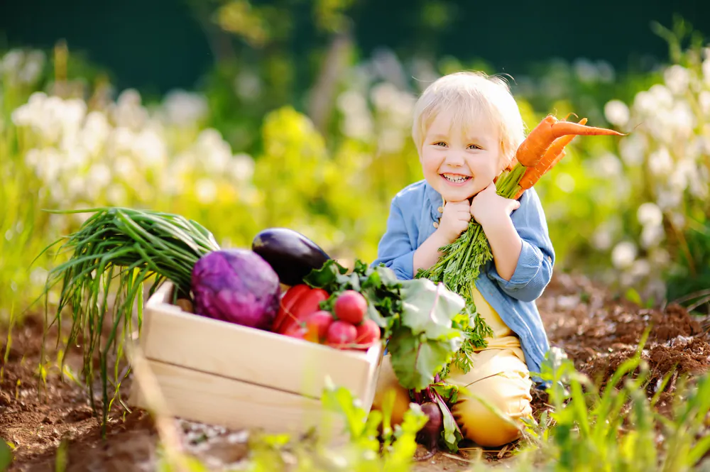 Children are the most vulnerable and affected by the food they eat, so we want to feed them the safest and best quality food possible.
(Shutterstock)