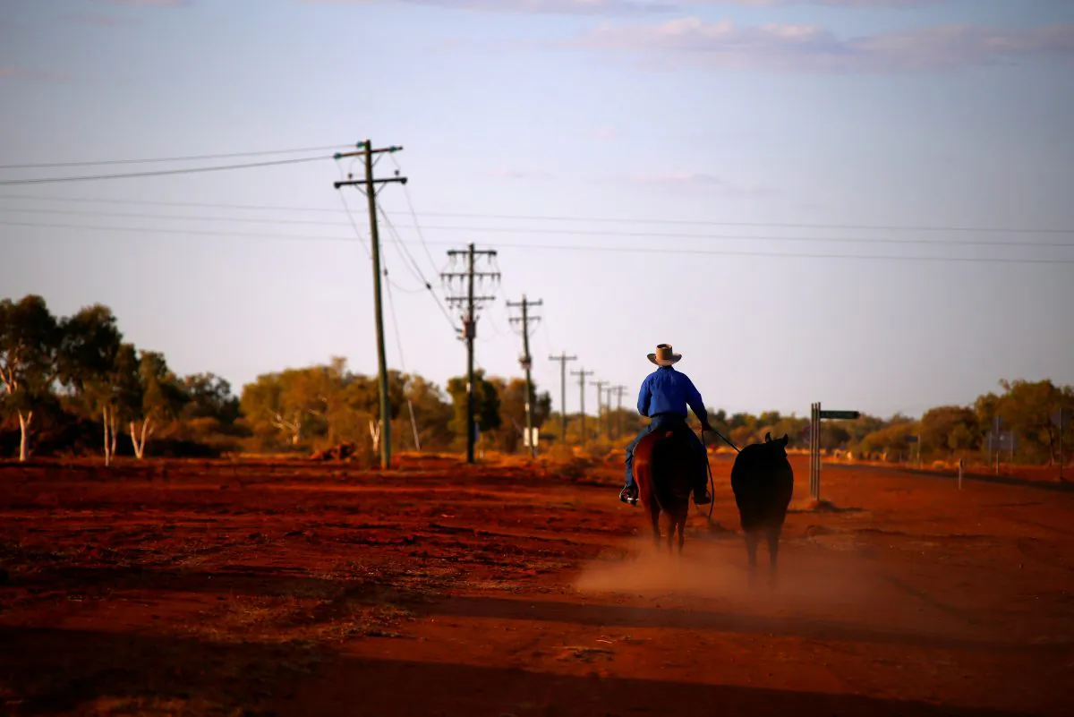 A stockman rides his horse as he leads another down a road towards the cattle yards in the outback town of Windorah, Queensland, Australia, August 11, 2017. (Reuters/David Gray/File Photo)
