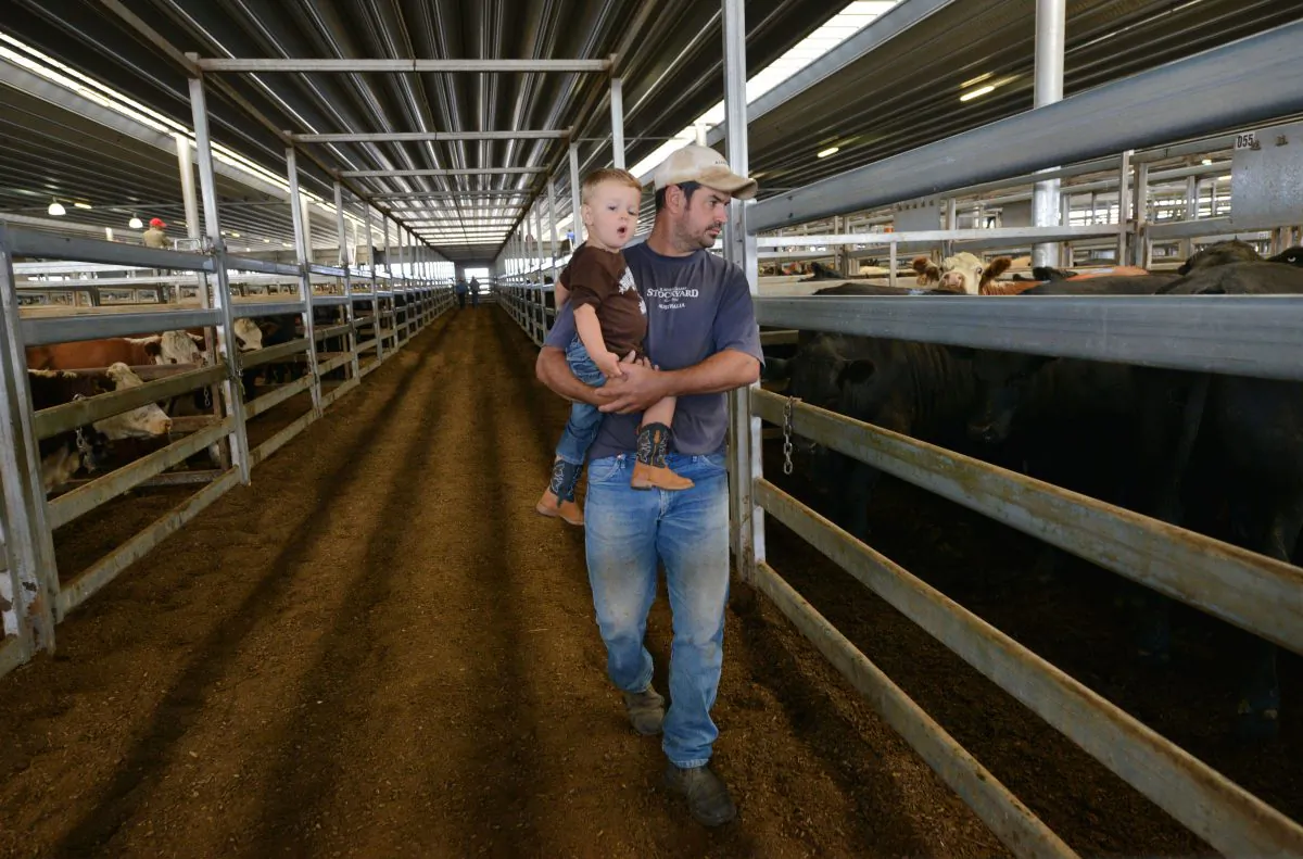 A farmer and his young son look at cattle at the weekly livestock sale near the town of Carcoar in central-west New South Wales, Australia, on Feb. 10, 2015. (Peter Parks/AFP/Getty Images)