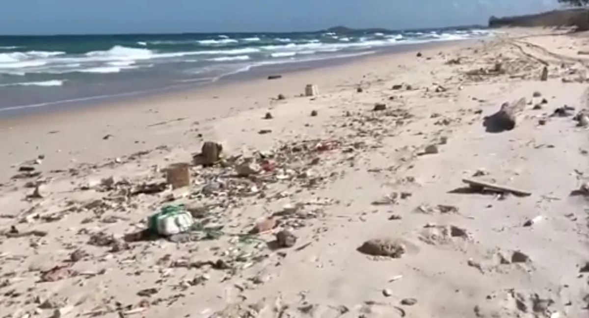 Debris and plastic litter found by Tangaroa Blue, an Australian Marine debris initiative, on Christmas Island, Australia in this undated handout. (Tangaroa Blue/Handout via REUTERS )