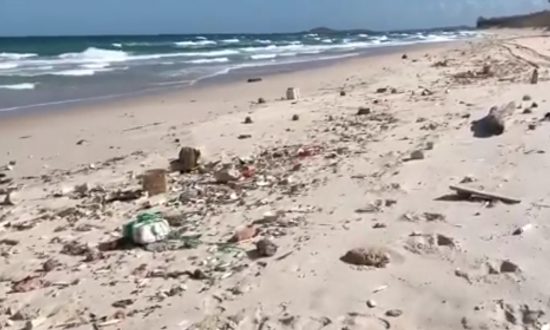 Unknown Risk in Plastic Rubbish Lining Australian Coast