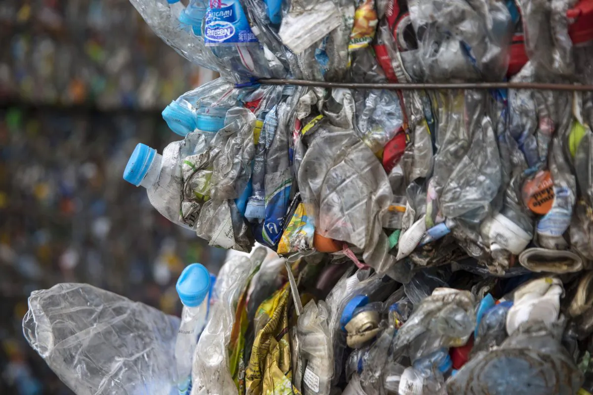 At the Indorama Ventures factory, flattened plastic bottles bottles are stacked in bales for recycling. (Paula Bronstein/Getty Images)