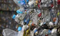 NSW Environment Minister Calls on Councils to Take Action Following China’s ‘Ban’ on Imported Recycled Materials