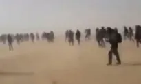 13,000 People Abandoned in Sahara Desert: Report