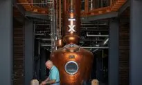 Fields of Dreams: Texas Project Seeks New Corn Strains for Whiskey