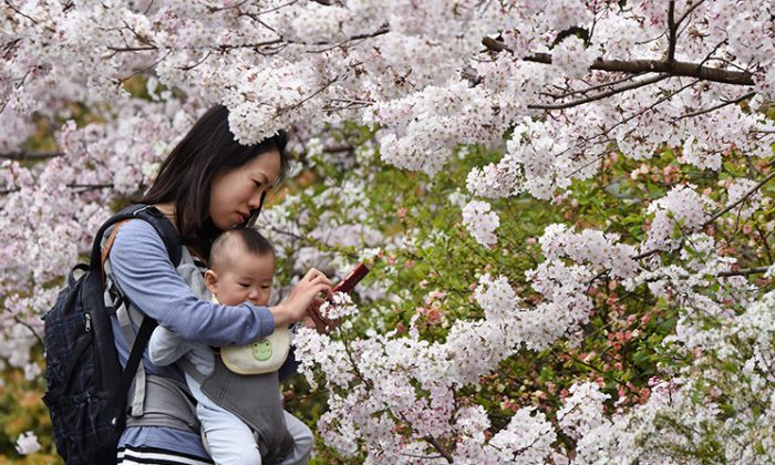 A mother in Tokyo looks at her smartphone while walking with her child, March 29, 2015. (Toru Yamanaka/AFP/Getty Images)