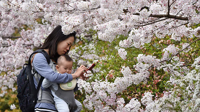 A mother in Tokyo looks at her smartphone while walking with her child, March 29, 2015. (Toru Yamanaka/AFP/Getty Images)