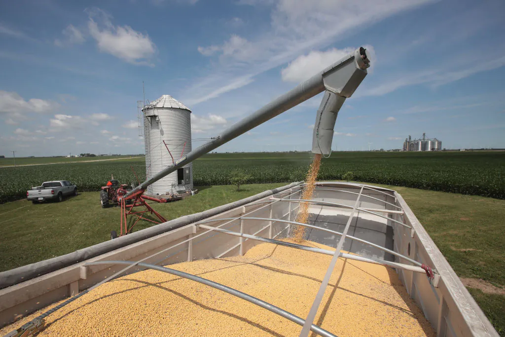 Farmer John Duffy loads soybeans from his grain bin onto a truck before taking them to a grain elevator on in Dwight, Ill., on June 13. China hit U.S. soybeans with retaliatory tariffs amid rising trade tensions between Washington and Beijing. (Scott Olson/Getty Images)