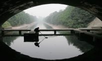 Oil Pollution Causes All Fish in Chinese Reservoir to Die
