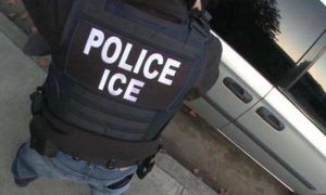 Democrats’ Lack of Support for ICE Could Hurt in Midterms