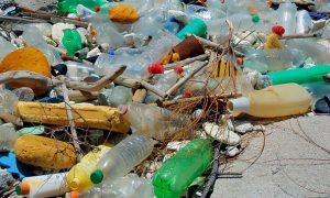 Solution to Ocean’s Plastic Waste Problem ‘Starts With Product Design’